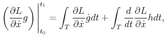 $\displaystyle \left( \frac{\partial L}{\partial {\dot x}} g \right)\Bigg\vert_{...
...}} {\dot g}dt + \int_T \frac{d}{dt} \frac{\partial L}{\partial {\dot x}} h dt ,$